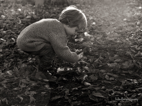 black and white photo of child in autumn leaves
