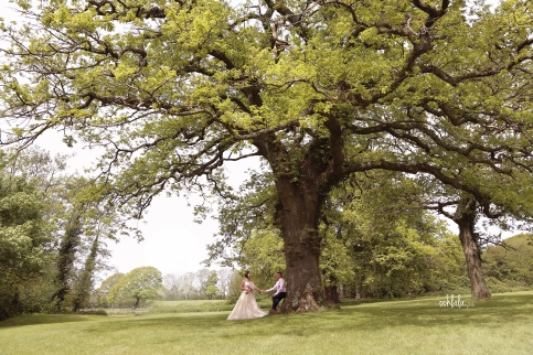 Bride and groom holding hands under a tree