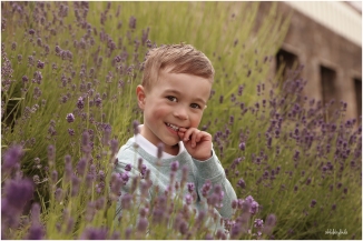 little boy sat in lavender