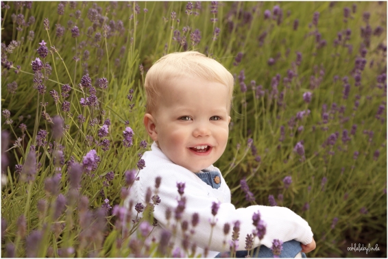 portrait of little girl in the lavender