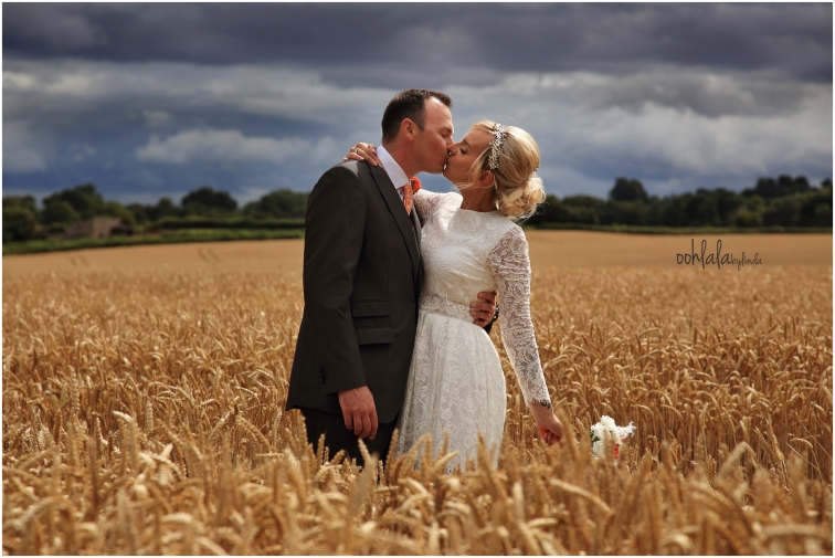 bride and groom kissing in the cornfield